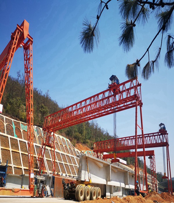 西藏阿里龙门吊厂家 龙门吊在污水处理厂曝气池设备检修中的应用实践